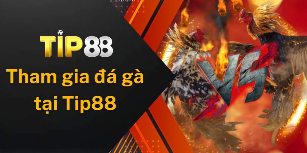 Cách tham gia đá gà trực tuyến tại nhà cái Tip88