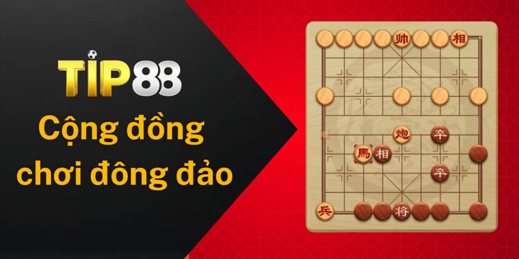 Cộng đồng người chơi cờ úp đông đảo