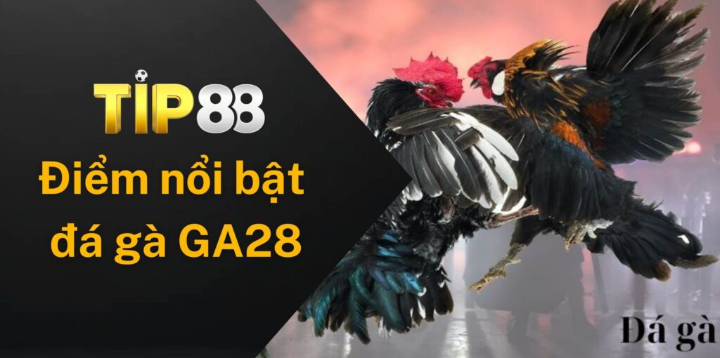 Điểm nổi bật của đá gà GA28