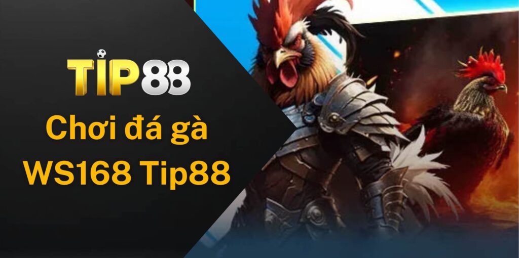 Hướng dẫn chơi đá gà WS168 Tip88