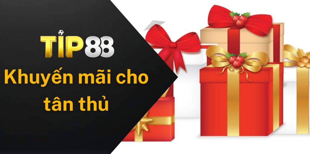 Khuyến mãi dành riêng cho tân thủ chơi đá gà Ga28 tại Tip88