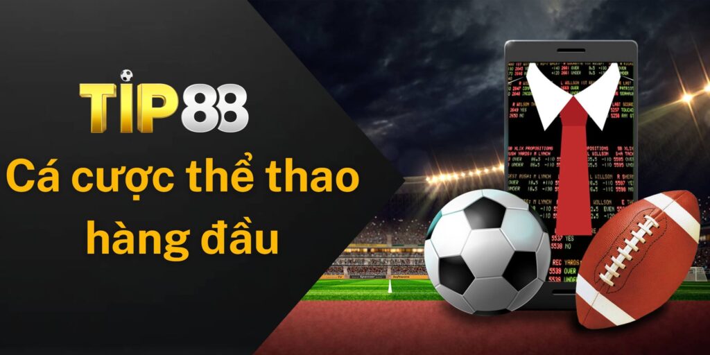Mục tiêu của CEO là biến Tip88 thành trung tâm cá cược thể thao hàng đầu