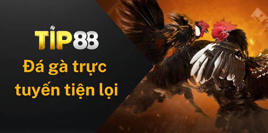 Sự tiện lợi khi chơi đá gà trực tuyến