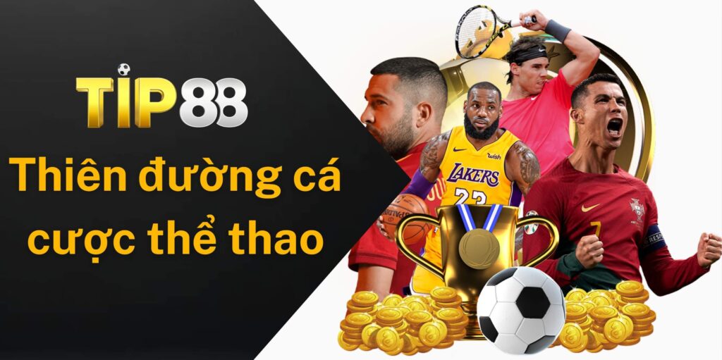 Tip88 được biết đến là thiên đường cá cược thể thao