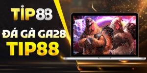 Đá Gà GA28 Tip88 – Thế Giới Đá Gà Uy Tín Cho Kê Thủ